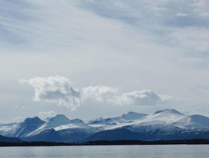 Larhammer Aarseth Advokatfirma